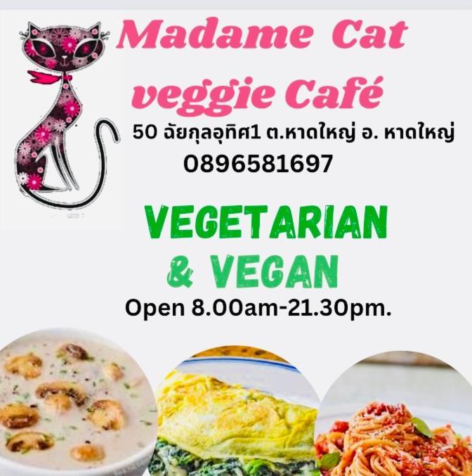 Cat Home Hat Yai Ngoại thất bức ảnh